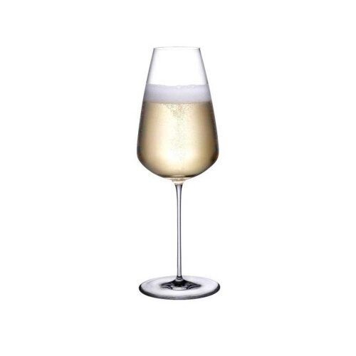 32030 Paşabahçe Nude Stem Zero Şampanya Kadeh 450 cc - PAŞABAHÇE NUDE