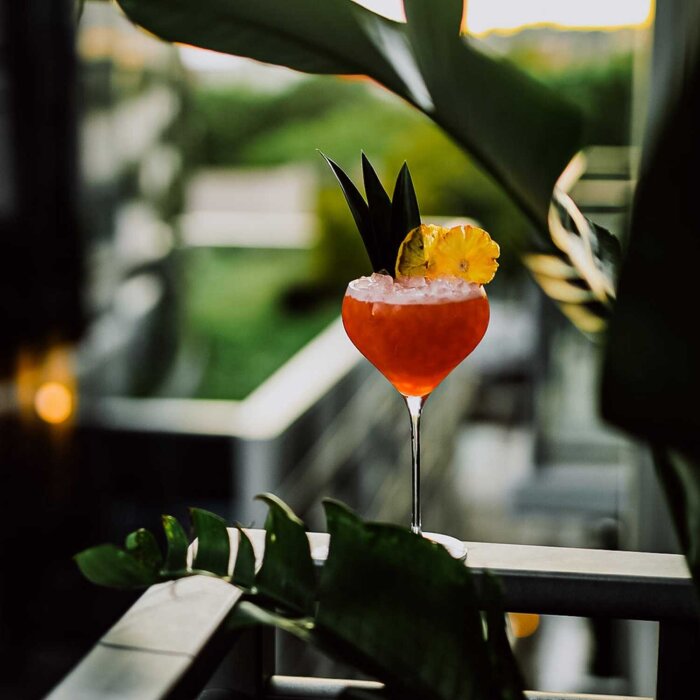 66130 Paşabahçe Nude Fantasy Kokteyl Kadeh 675 cc - 2