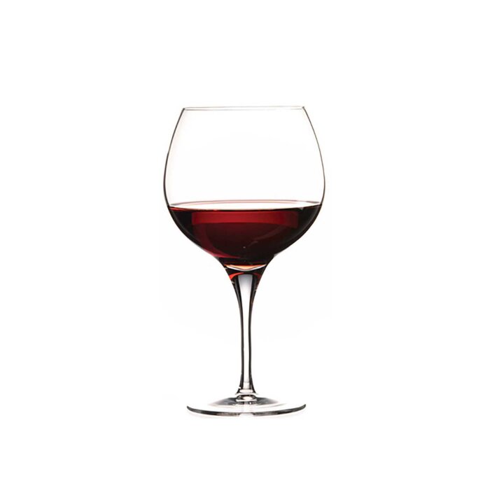 67005 Paşabahçe Nude Primeur Burgonya Kadeh 580 cc - 1