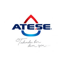 ATEŞE