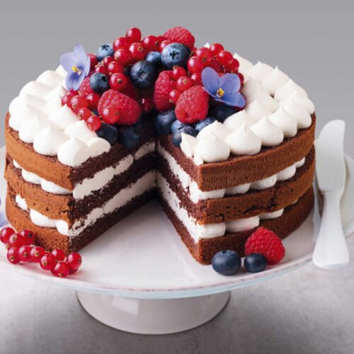 Biradlı Melamin Açık Büfe Kek-Pasta Sunum Yuvarlak (35cm) 259551 - BİRADLI