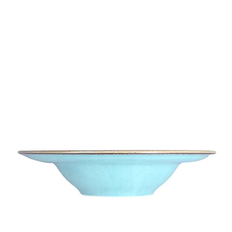 Porland Porselen 173931 Seasons Alumilite Turkua Çukur Tabak 30 cm - 3