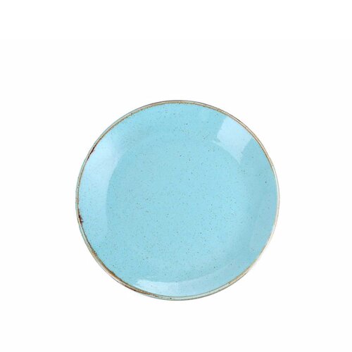 Porland Porselen 187624 Seasons Turkuaz Düz Tabak 24 cm - PORLAND PORSELEN