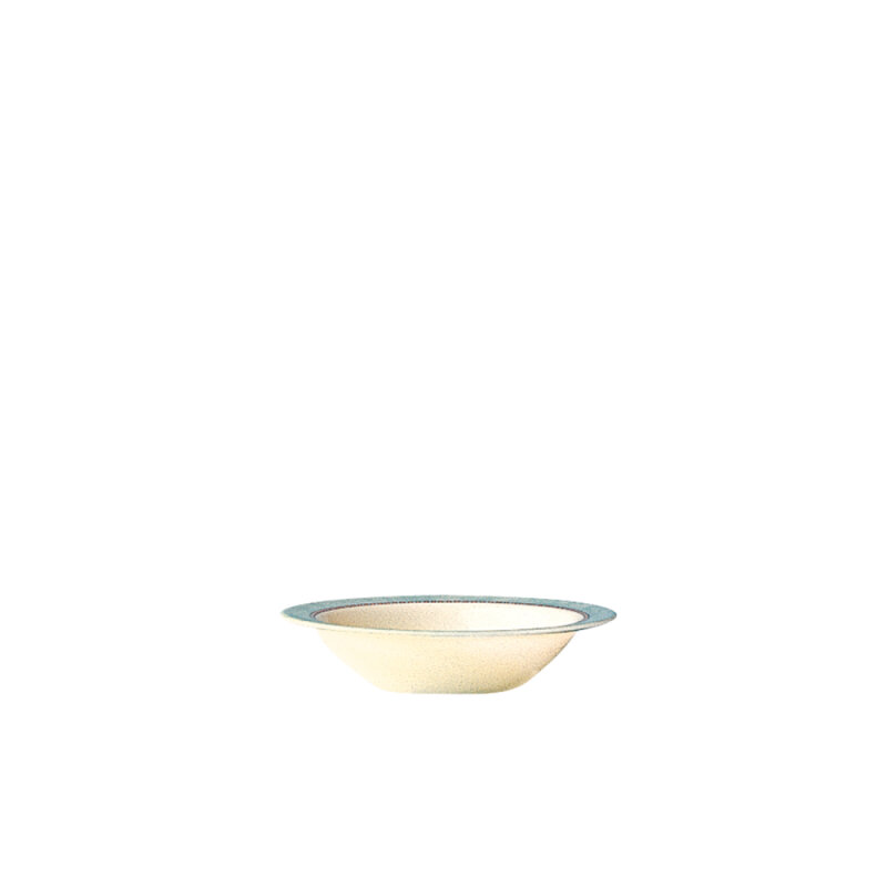 Arcoroc Lagune Yayvan Kase 160 mm - 1