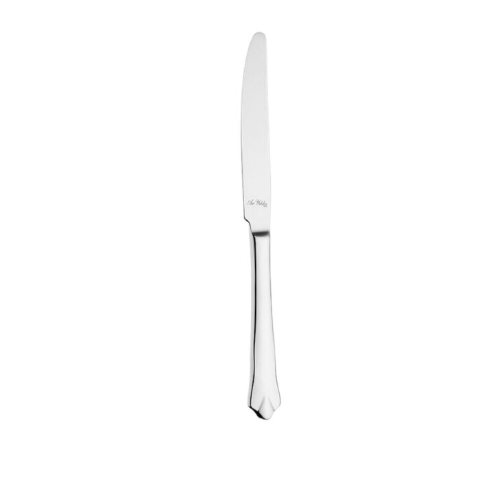 Aryıldız Mirador Ordövr Bıçak 210 mm - 1