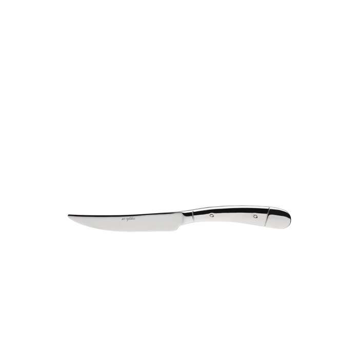 Aryıldız Steak Bıçak 230 mm - 1
