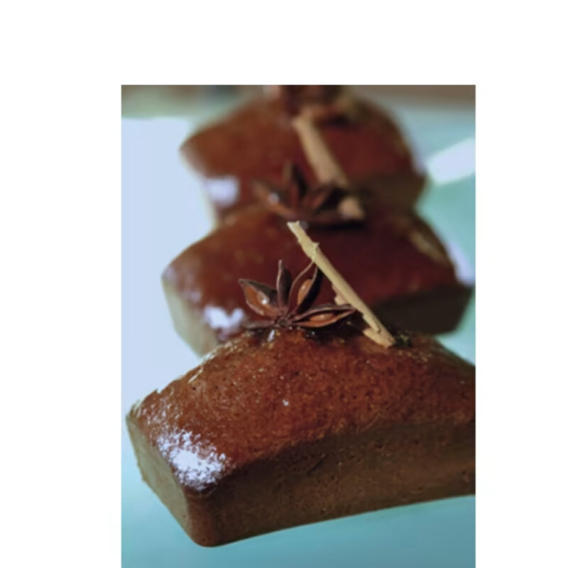 Demarle Mini Dikdörtgen - 1