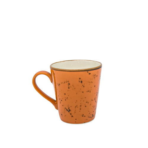 Zest Porcelain Ece Mug 255Cc-Paris Turuncu - ZEST PORCELAIN