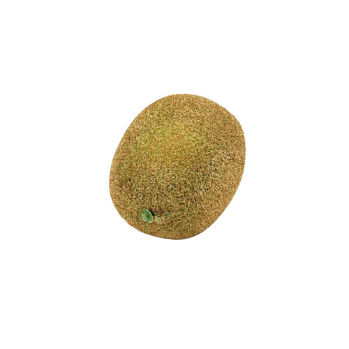 İthal Yapay Kiwi - ULTRAFORM İTHAL