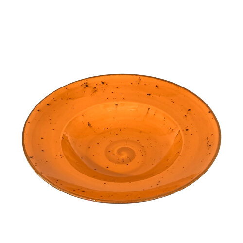 Zest Porcelain Makarna Tabağı 27Cm -Paris Turuncu - ZEST PORCELAIN