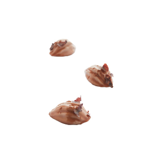 Martellato Mını Cocoa Kalıp - 2