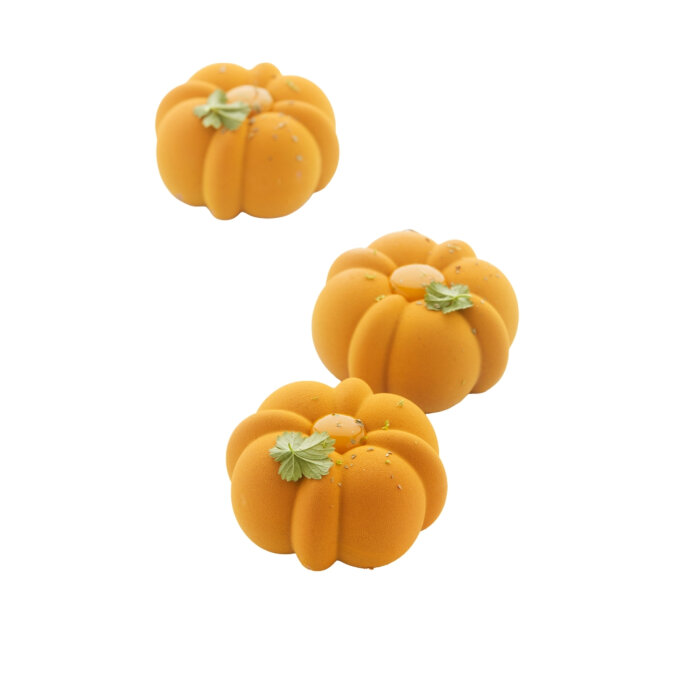 Martellato Pansè Sılıkon Kalıp 17,5X30Cm - 1