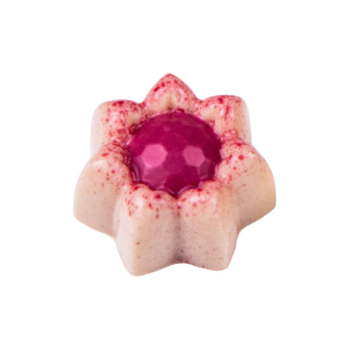 Martellato Pc Cıkolata Kal Dafne - 1