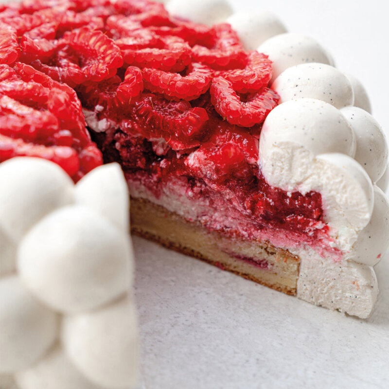 Pavoni Bulut Silikon Kalıp KE088S - 2