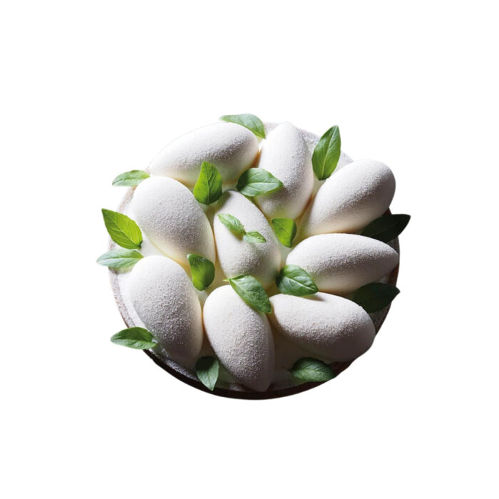 Pavoni Quenelle 3D 600X400 66 X 35 Silikon Kalıp - 2