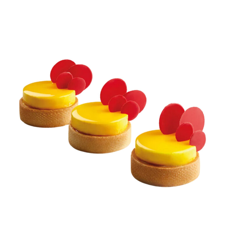 Pavoni Sılıcone Mould 600X400 74 X H 15 - 1