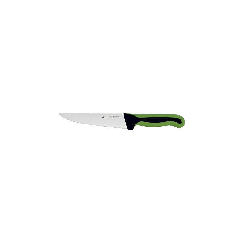 Aryıldız Plurex Et Bıçağı 16,5 cm Yeşil - 1