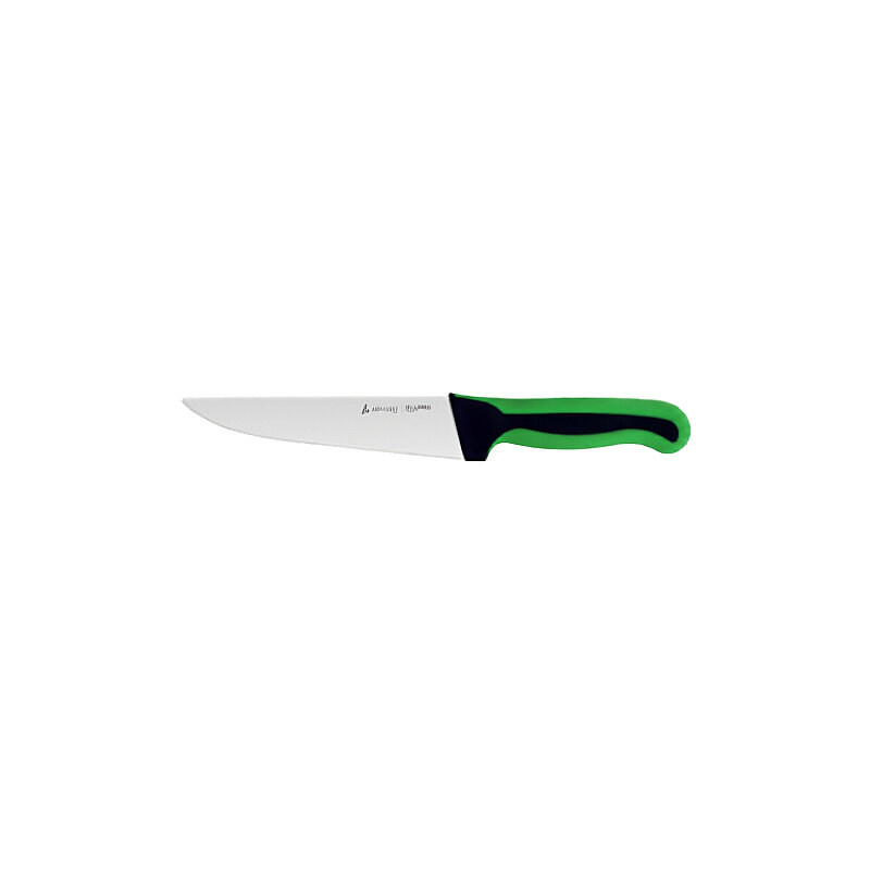 Aryıldız Plurex Et Bıçağı 18,5 Cm Yeşil - 1