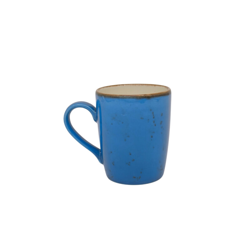 Zest Porcelain Sare Mug 255Cc-Paris Mavi - 1