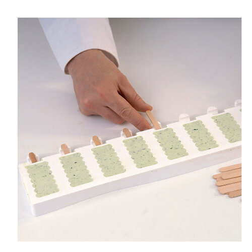 Silikomart Gel05M Mini Stick Dondurma Kalıbı 25.335.87.0060 - 3