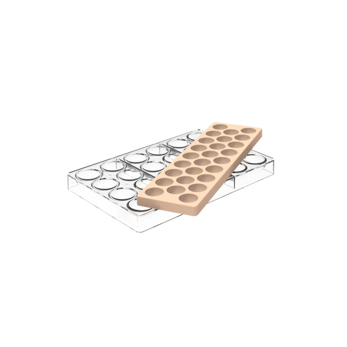 Silikomart Kit Semisfera 02 Silikon Kalıp 52.937.86.0065 - 5