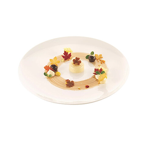 Silikomart Selva Silikon Kalıp 33.333.36.0065 - 2