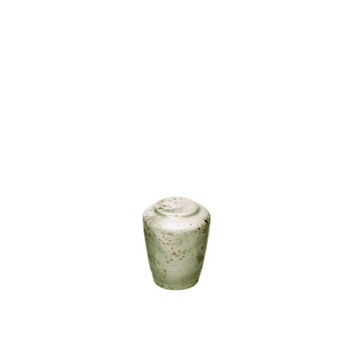Steelite Craft Green Tuzluk 11310841 - STEELİTE