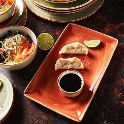 Steelite Craft Terracotta Rectangular Plate 27X16 11330550 - 2