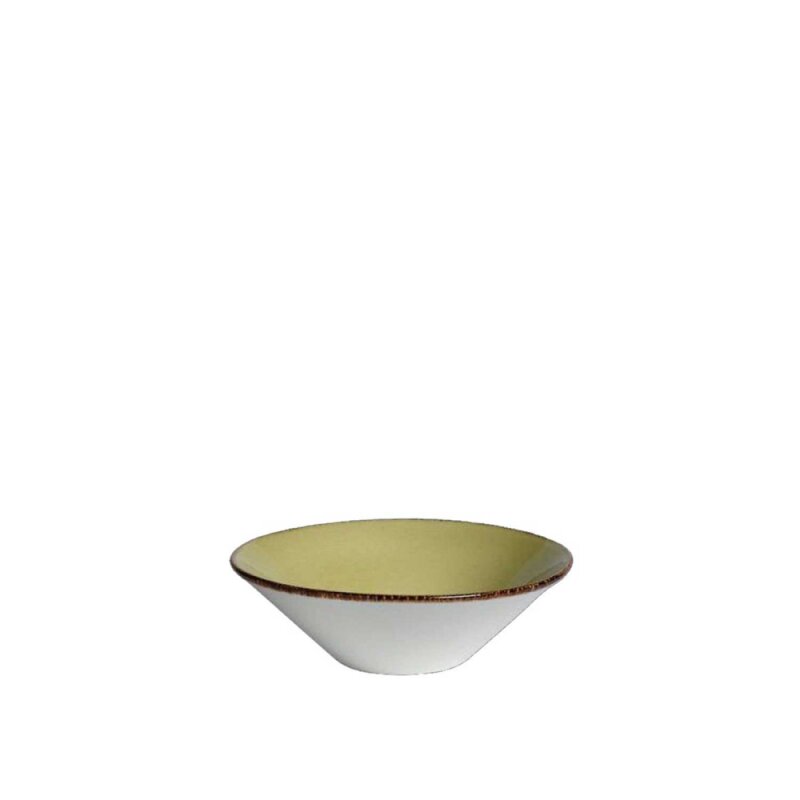 Steelite Terramesa Yeşil Renk Kase 16,50 cm 11220597 - 1