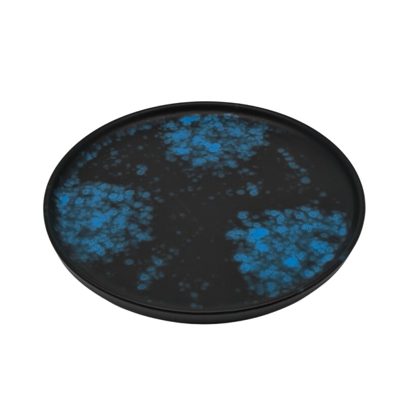 Zest Porcelain Step Tabak 27 Cm-Oxy Blue - 1