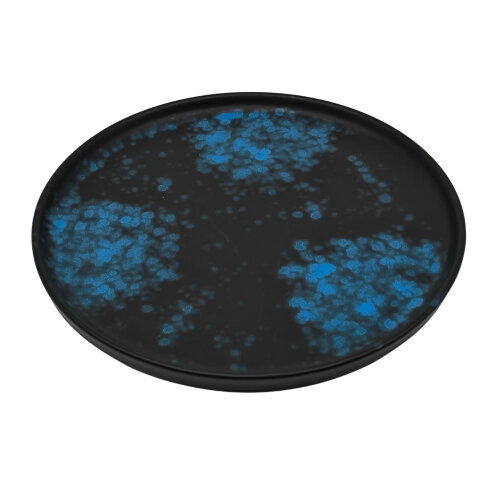 Zest Porcelain Step Tabak 30 Cm-Oxy Blue - ZEST PORCELAIN