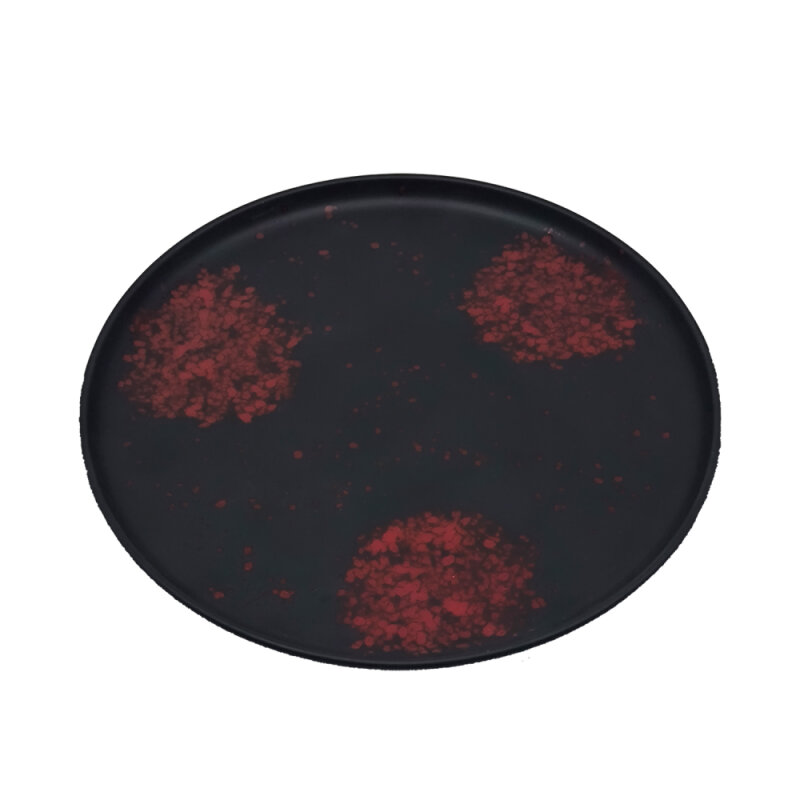 Zest Porcelain Step Tabak 30Cm -Oxy Red - 1