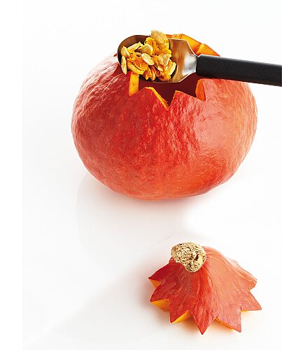 Triangle Meyve Kaşığı Kutulu 72 820 60 02 - 5