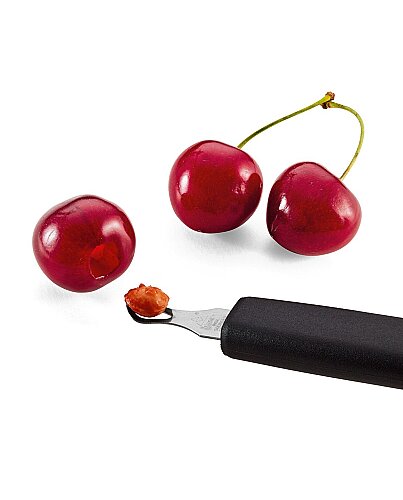 Triangle Vişne Çekirdek Çıkarıcı 10 011 04 01 - TRIANGLE