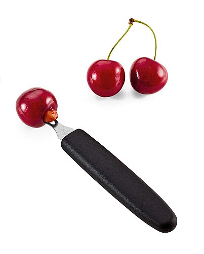 Triangle Vişne Çekirdek Çıkarıcı 10 011 04 01 - 2