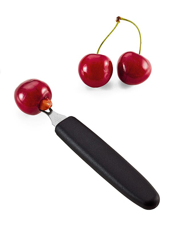 Triangle Vişne Çekirdek Çıkarıcı 10 011 04 01 - 2